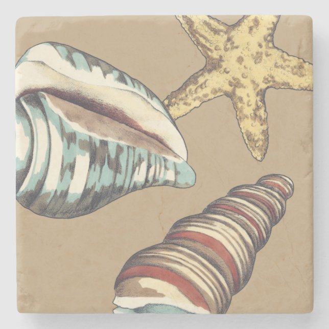 Shell Trio on Khaki Stone Coaster (Front)