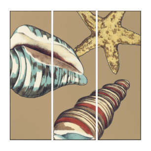 Shell Trio on Khaki Triptych