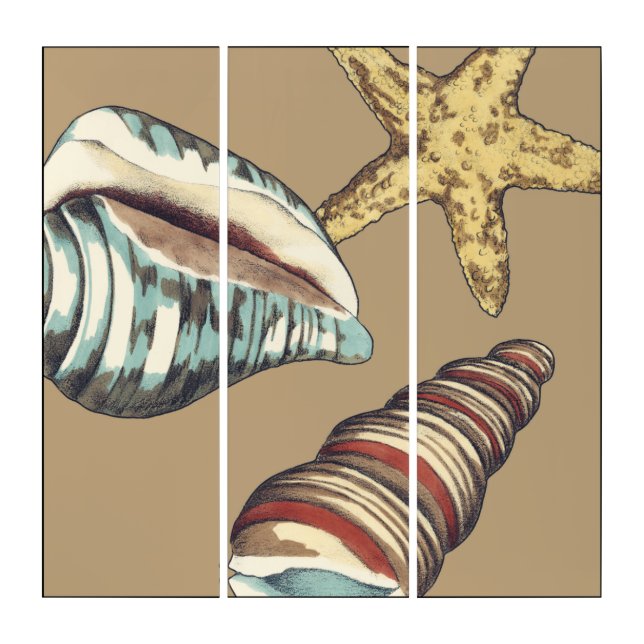 Shell Trio on Khaki Triptych (Front)