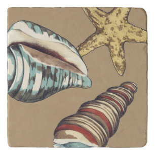 Shell Trio on Khaki Trivet