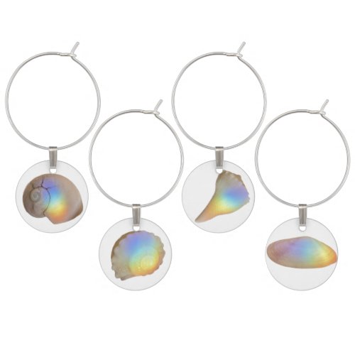 Shell Wine Charms