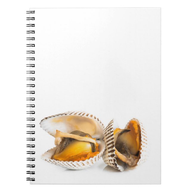 Shellfish Notebook (Front)