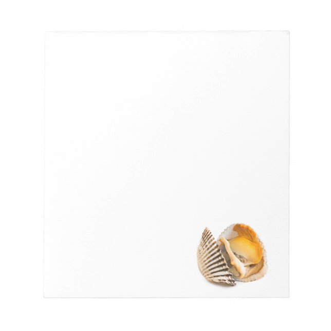 Shellfish Notepad (Front)