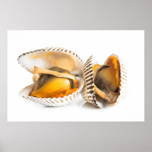 Shellfish Poster