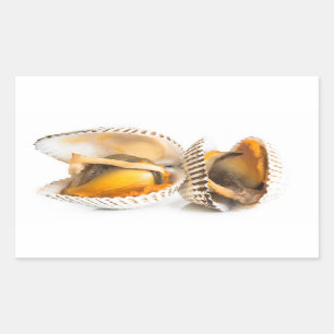 Shellfish Rectangular Sticker