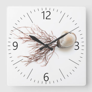 shellfish square wall clock