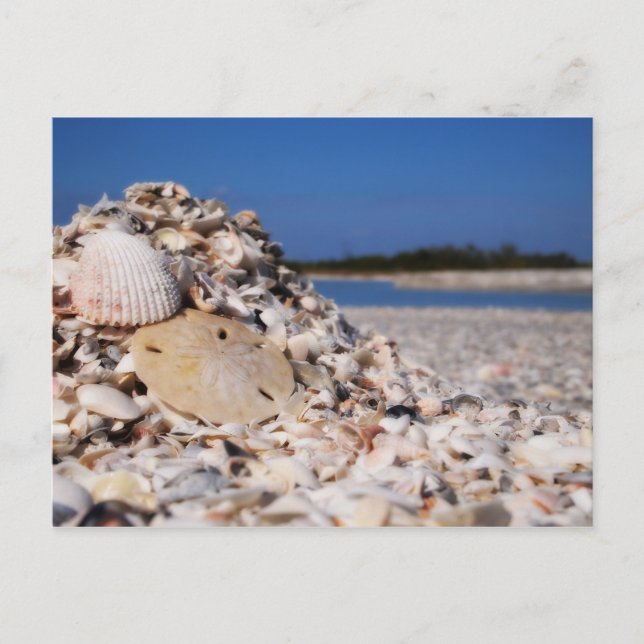 Shelling Postcard (Front)