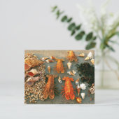 Shells (Standing Front)