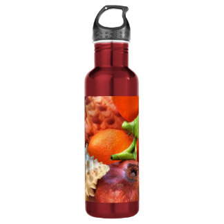 Shells and Fruits still-life Stainless Steel Water Bottle