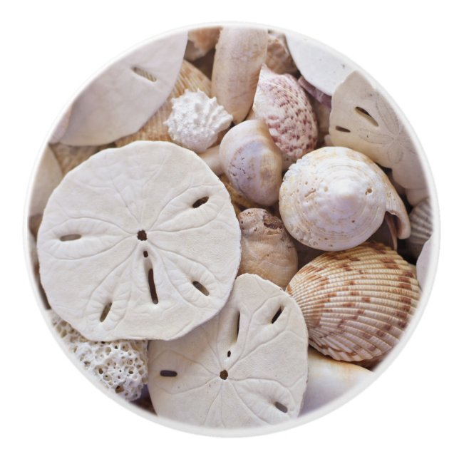 Shells and Sand dollar Ceramic Knob (Front)