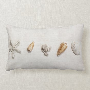 Shells And Starfish Toss Pillow by myworldtravels at Zazzle