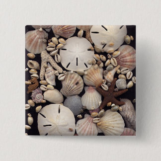 Shells Button