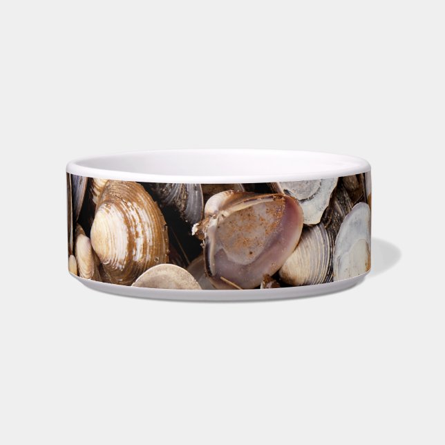 Shells in Mud Bowl (Front)
