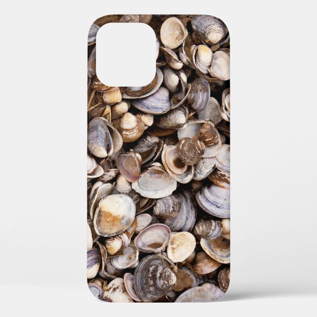 Shells in Mud Case-Mate iPhone Case (Back)