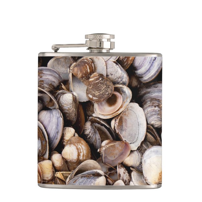 Shells in Mud Flask (Front)