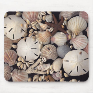 Shells Mouse Pad