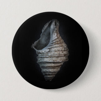 Shells No 6 Color Version Button