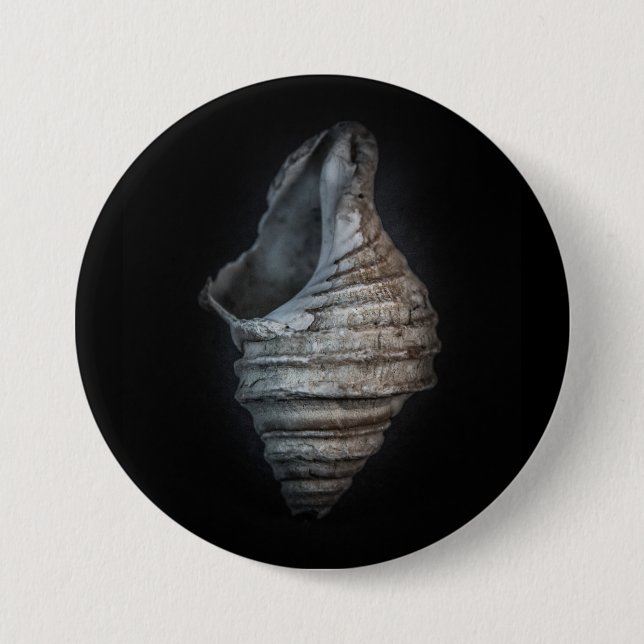 Shells No 6 Color Version Button (Front)