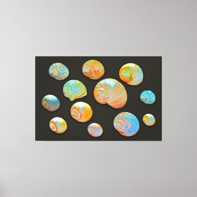 SHELLS of NEPTUNE 40x60 Canvas Print (Front)