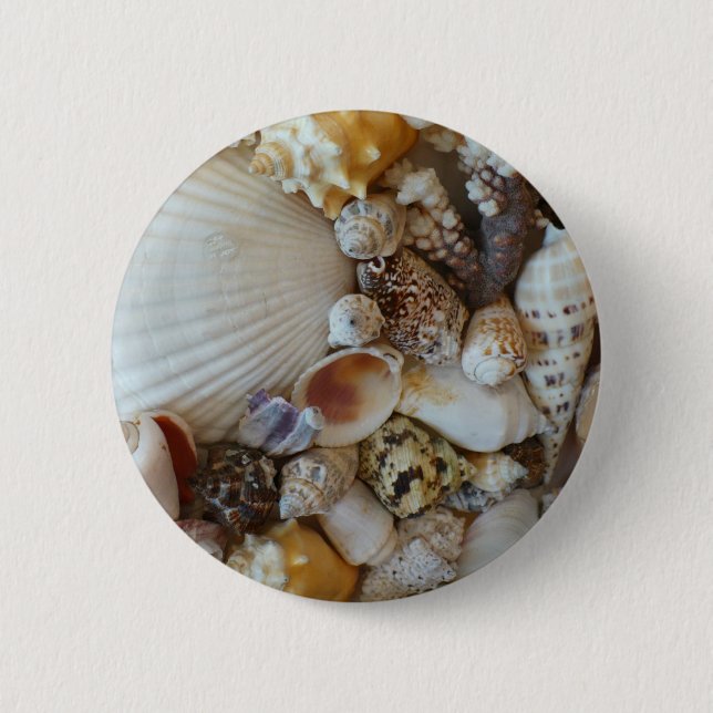Shells Of Sanibel Button (Front)