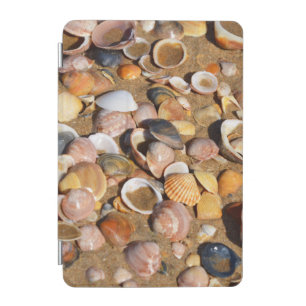 Shells On A Sandy Beach Andalusia, Spain iPad Mini Cover