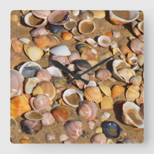 Shells On A Sandy Beach Andalusia, Spain Square Wall Clock