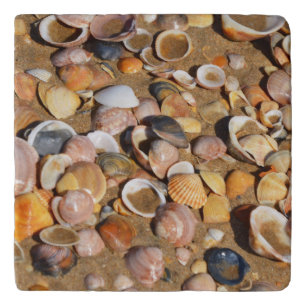Shells On A Sandy Beach Andalusia, Spain Trivet