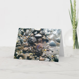 Shells on the Beach Card