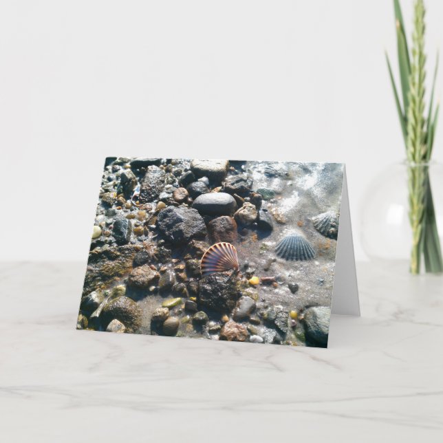 Shells on the Beach Card (Front)