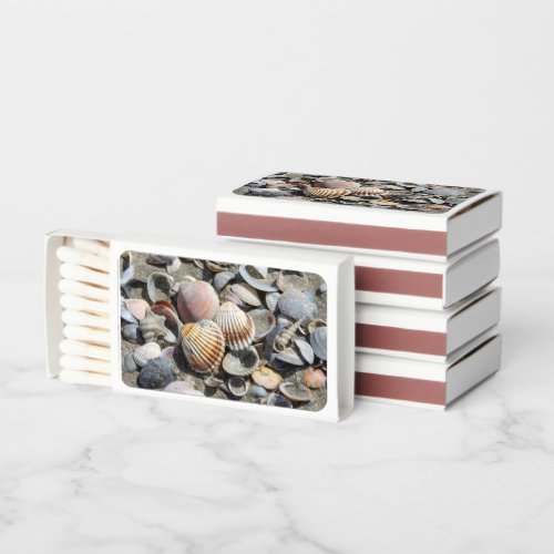 shells on the beach  matchboxes