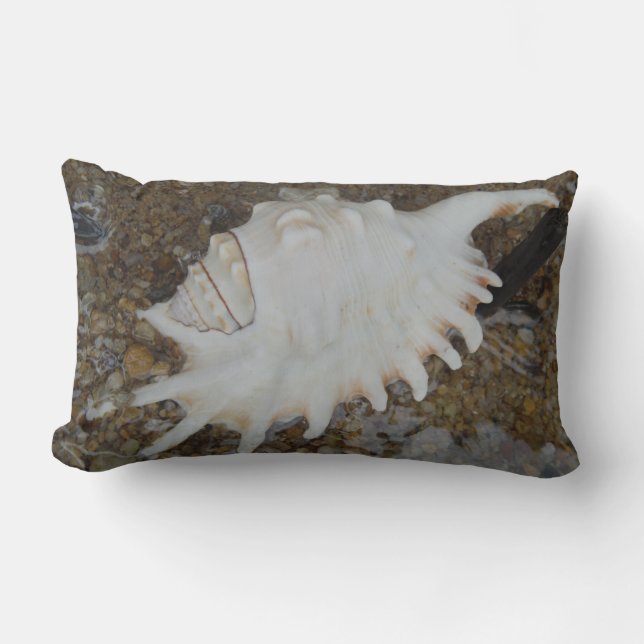 shells pillow (Front)