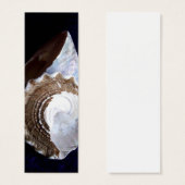 Shells Profile Card or bookmark (Front & Back)