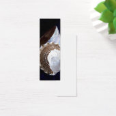 Shells Profile Card or bookmark (Desk)