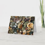 Shells, Rocks and Coral Beach Nature Card