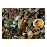 Shells, Rocks and Coral Beach Nature Theme Card
