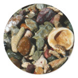 Shells, Rocks and Coral Nature Photography Classic Round Sticker