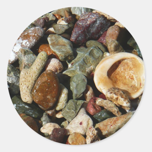 Shells, Rocks and Coral Nature Photography Classic Round Sticker (Front)