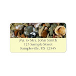 Shells, Rocks and Coral Nature Photography Label