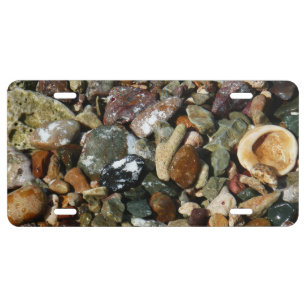 Shells, Rocks and Coral Nature Photography License Plate