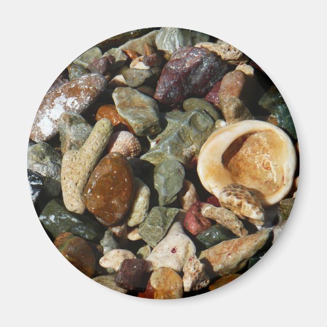 Shells, Rocks and Coral Nature Photography Magnet (Front)