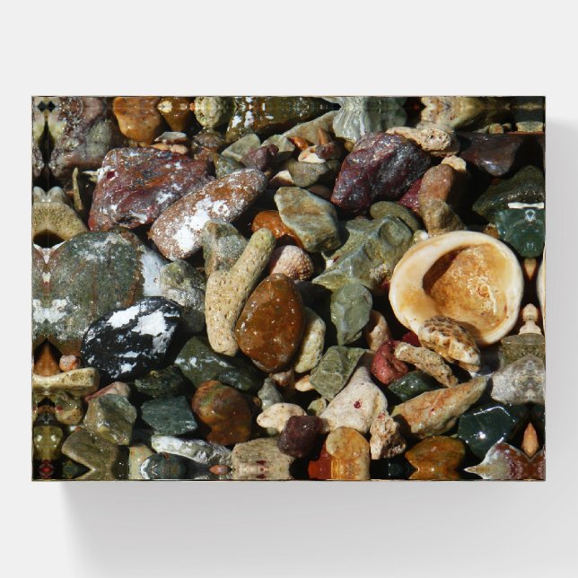 Shells, Rocks and Coral Nature Photography Paperweight (Front)