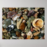 Shells, Rocks and Coral Nature Photography Poster