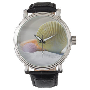 Shells, Sand, Beach Watch