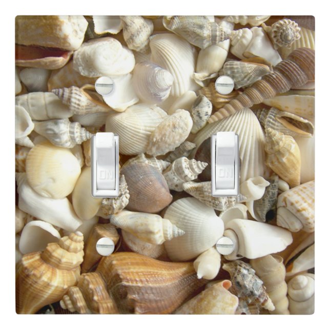 Shells Seashell Seacoast Design Light Switch Cover (In Situ)