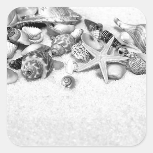 Shells  Starfish Stickers