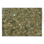 Shells Under Rippling Water Cards