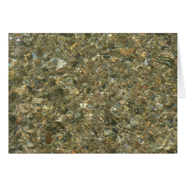 Shells Under Rippling Water Cards (Front Horizontal)