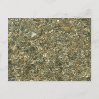 Shells Under Rippling Water Postcard