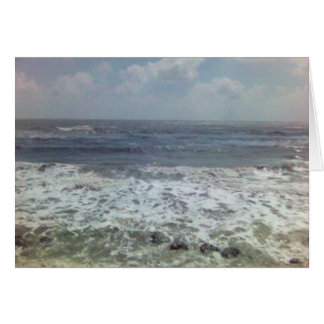 shellspima11173492-0010 cards