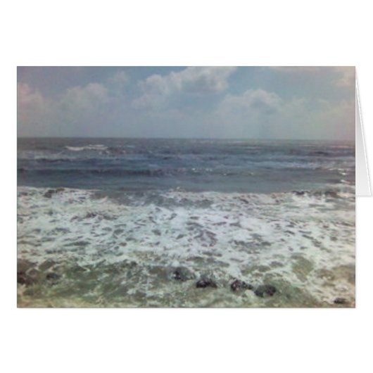 shellspima11173492-0010 cards (Front Horizontal)